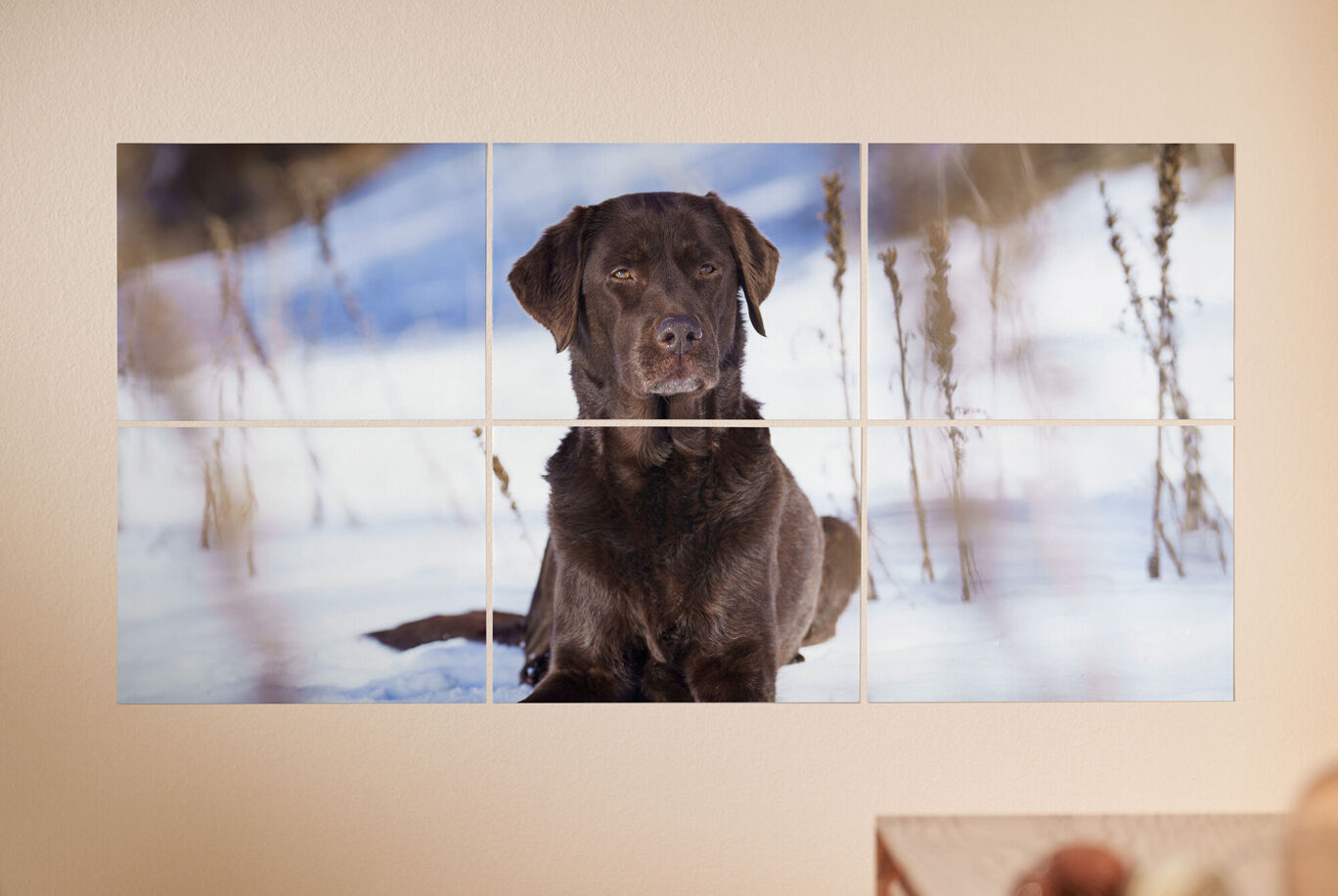 Sofortfotos mehrteilige Fotos