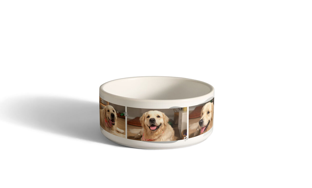 Foto-Futternapf personalisiert mit Bildern eines Golden Retrivers.