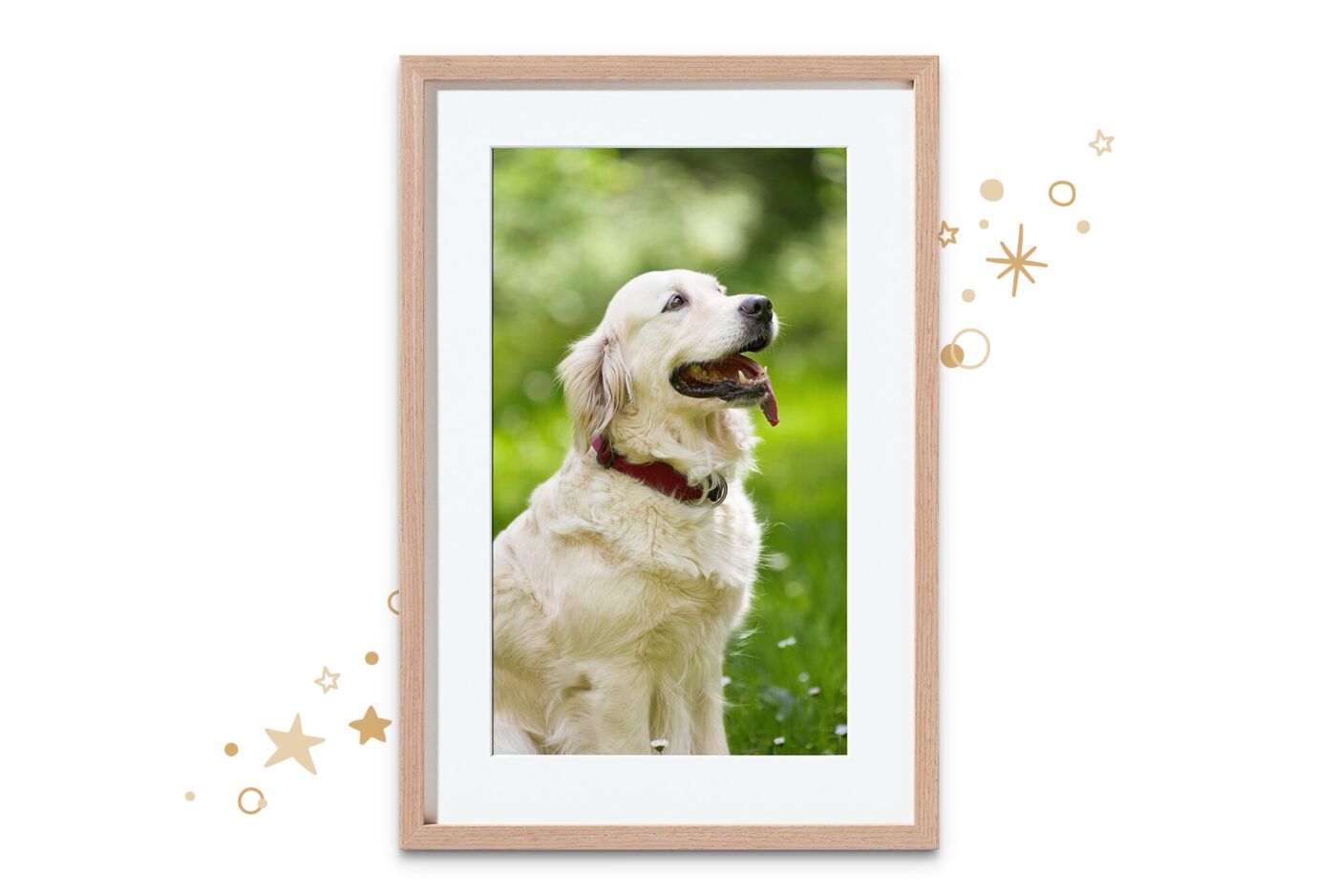 CEWE Foto mit einem Golden Retriever auf einer grünen Wiese in einem Holzrahmen.