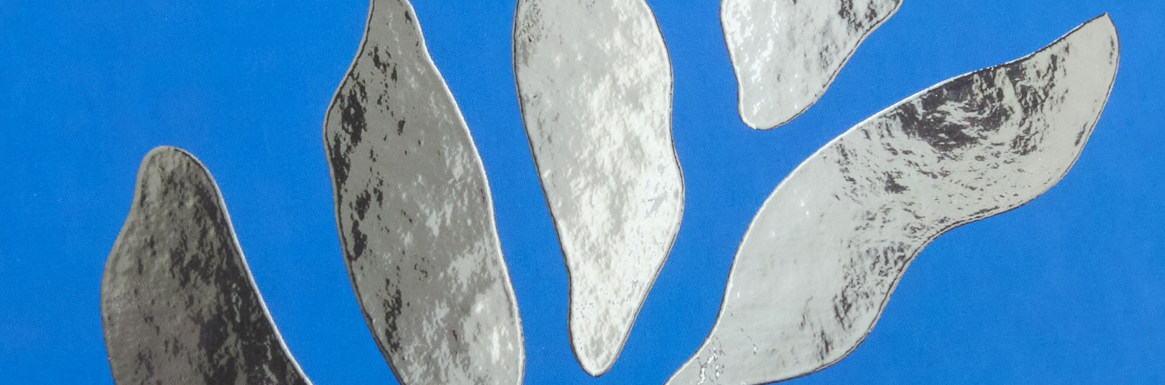 Silber-Veredelung in Blattform auf blauem Hintergrund.