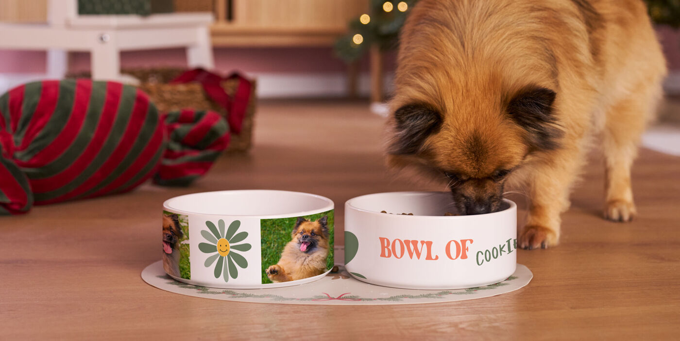 Hund frisst aus einem Foto-Futternapf mit dem Schriftzug "BOWL OF COOKIE", daneben ein weiterer Napf mit Blumendesign und Hundefotos.