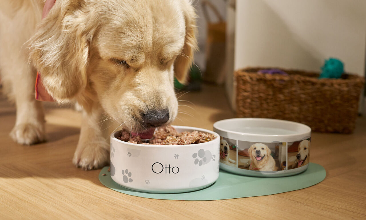 Ein Golden Retriever frisst aus einem personalisierten Futternapf mit seinem Namen, daneben ein personalisierter Wassernapf mit Fotos von ih