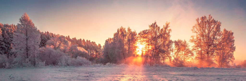 Winterlandschaft mit schneebedecktem Feld und einer Baumreihe. Im Hintergrund geht die Sonne auf.
