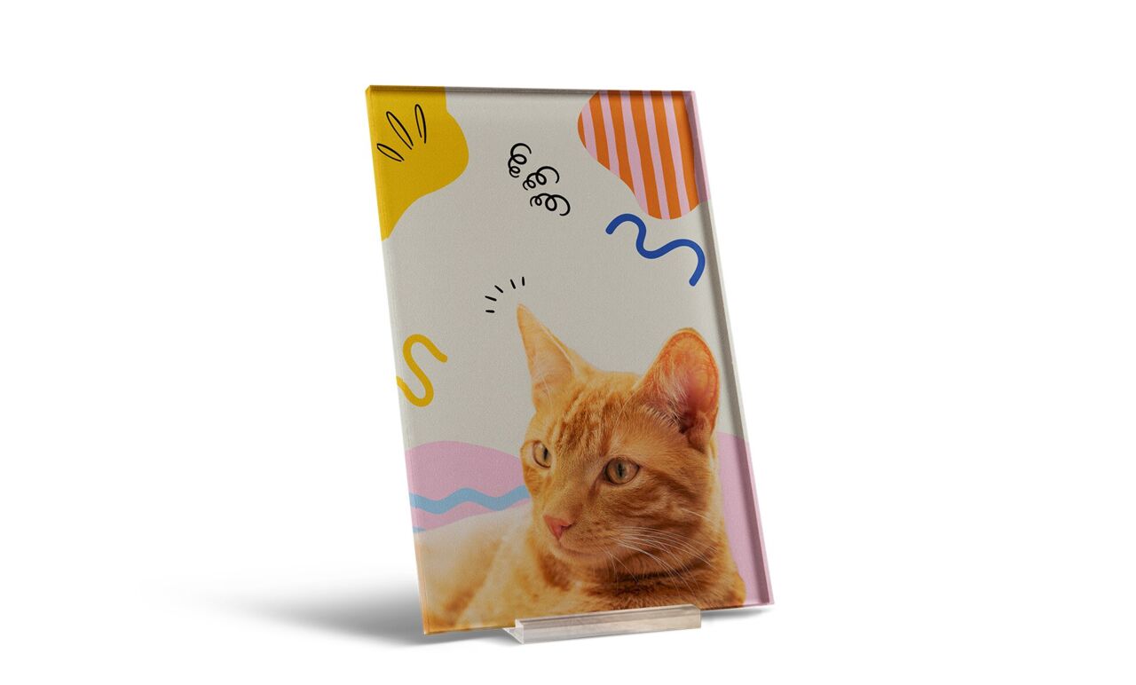 CEWE Wandbild aus Acrylglas mit Foto einer orangefarbenen Katze vor buntem, grafischem Hintergrund