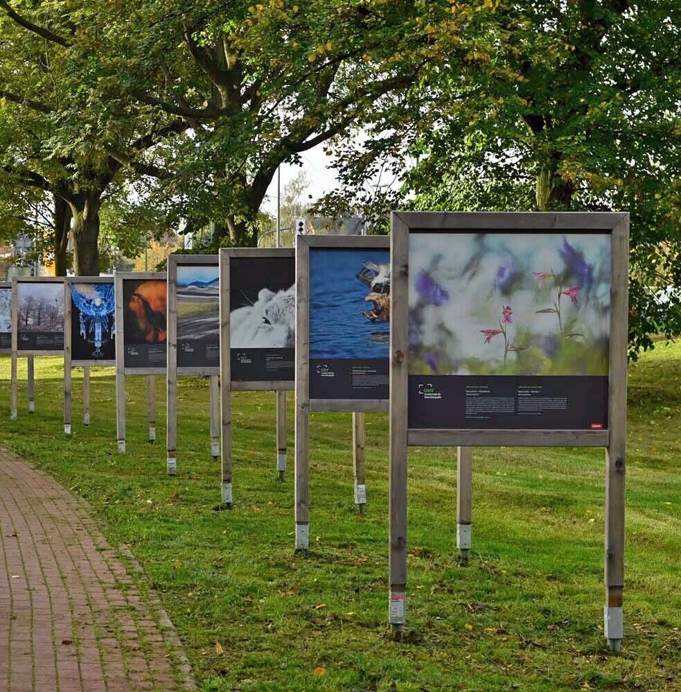 Auf einer Wiese stehen entlang eines Weges eine Reihe von Aufstellern mit großformatigen Fotodrucken mit verschiedenen Naturmotiven.