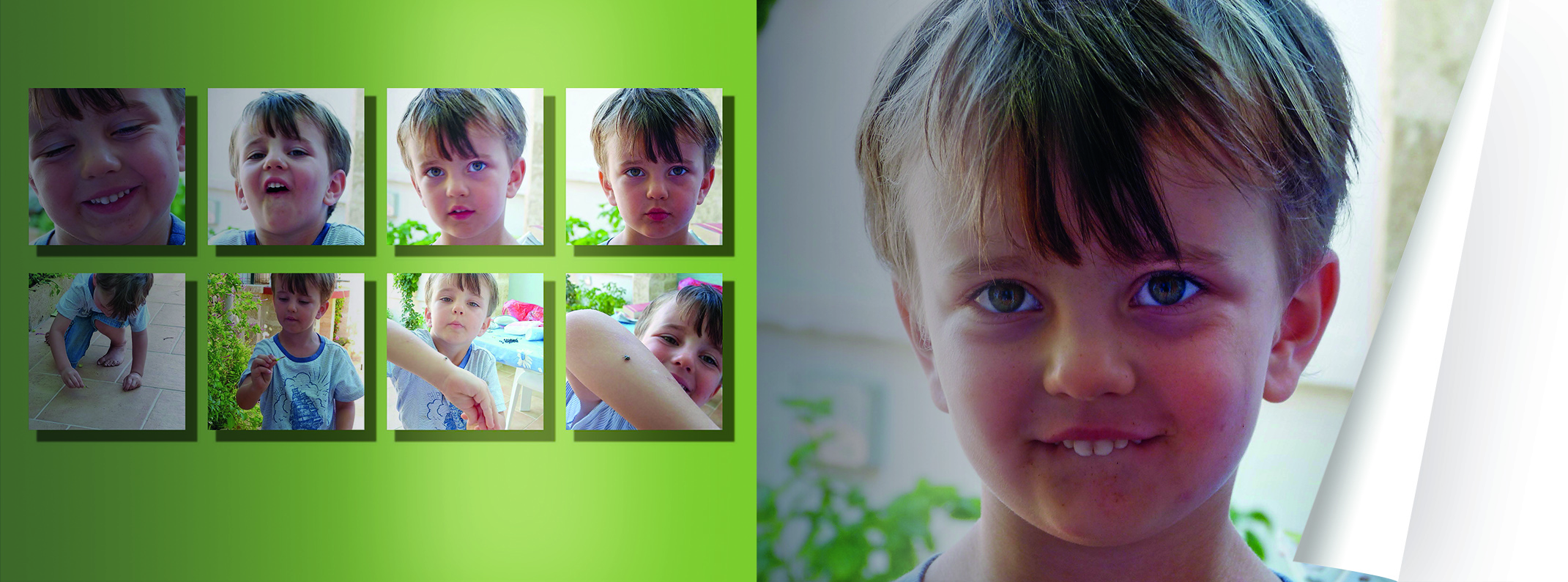 Tierportraits in meinem CEWE FOTOBUCH