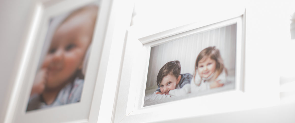 Muscheln aus dem indischen Ozean