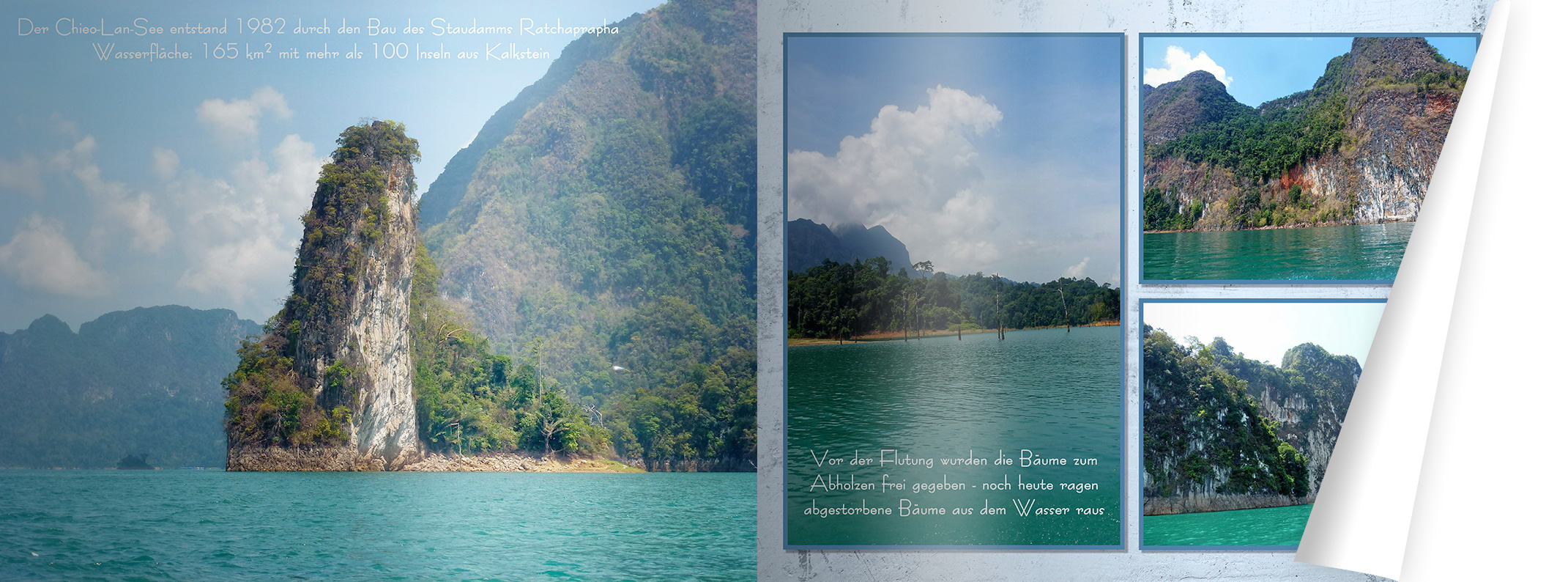 Bilder stehen im Fokus