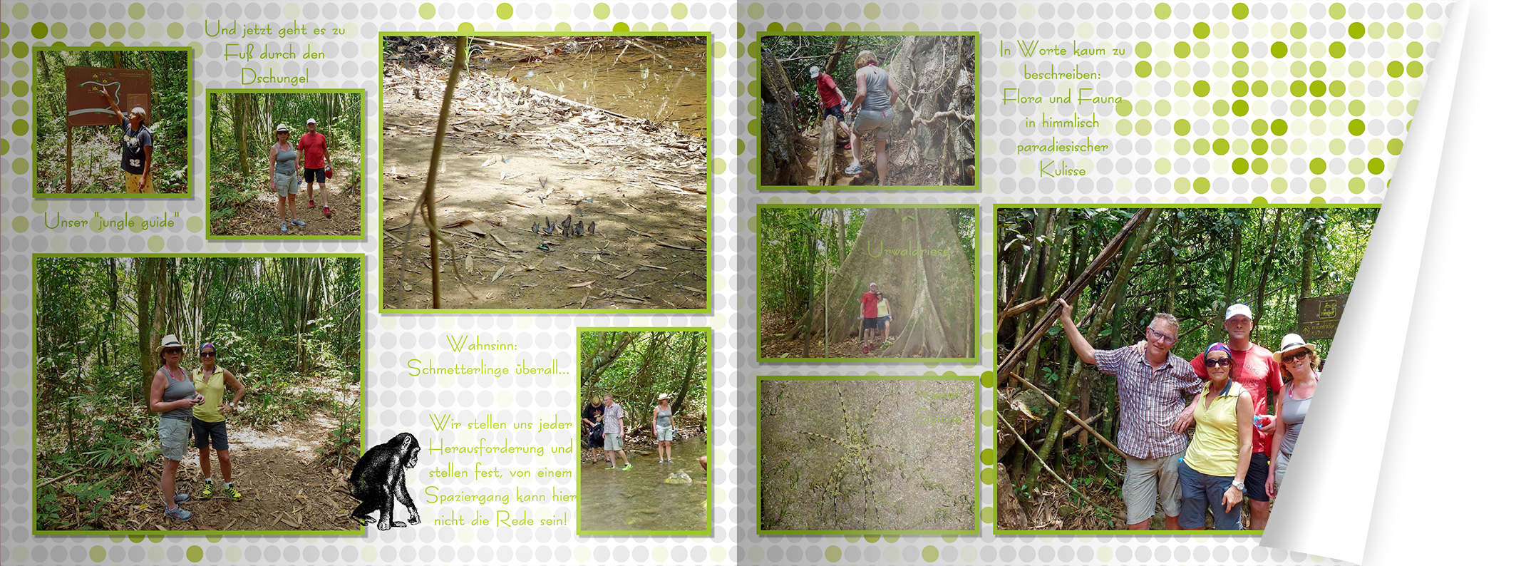 harmonische Gestaltung