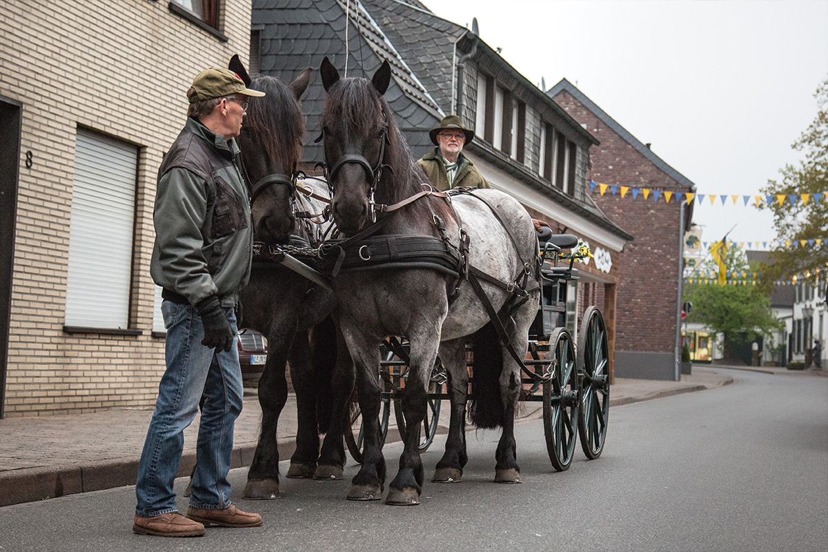 Christiane erzählt ueber ihre Buecher