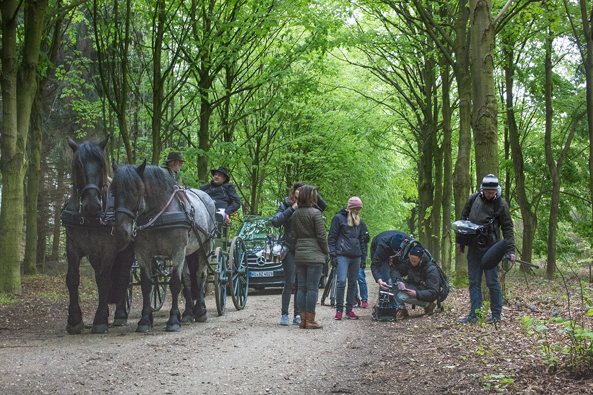 Team mit Kutsche im Wald
