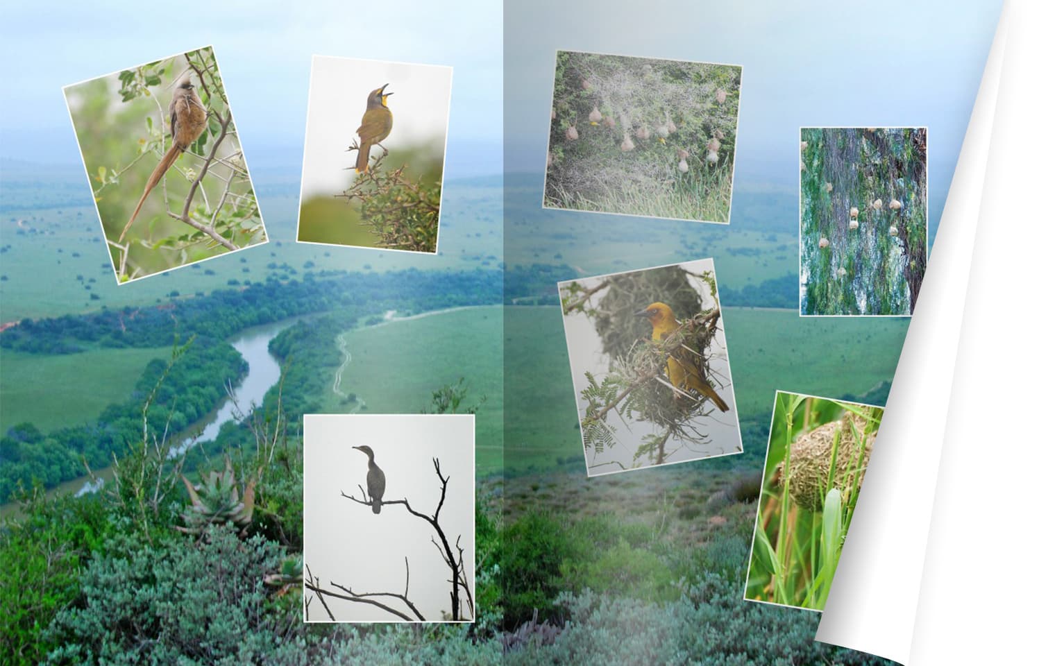 Ich verschenke mein CEWE FOTOBUCH