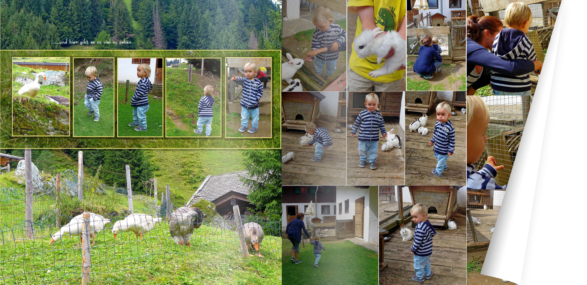 Vertrauen in die Software