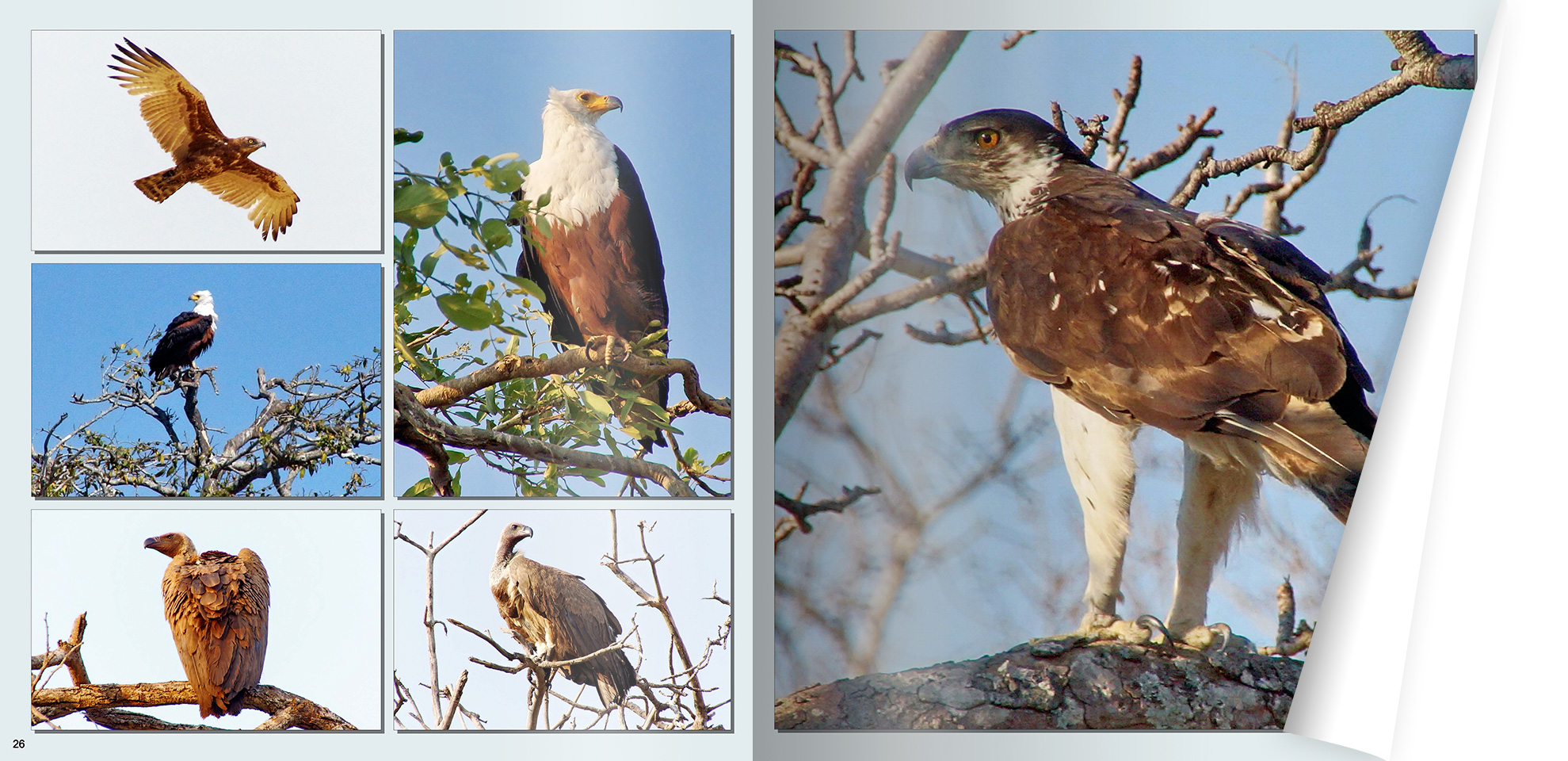Vertrauen in die Software
