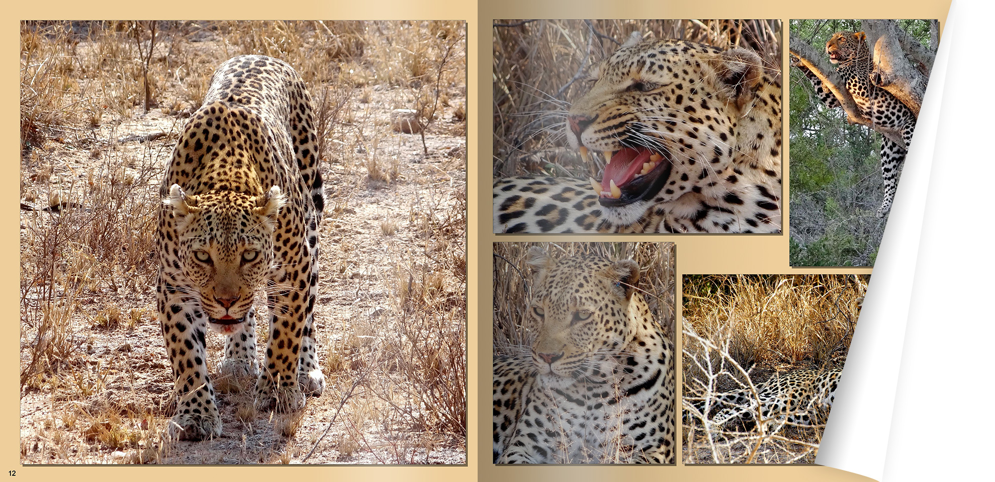 Chronologie in unserem CEWE FOTOBUCH